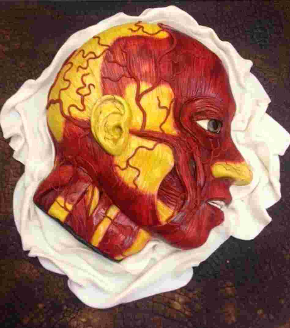 An Anatomical Model: This sponge cake with marzipan icing by the Conjurer's Kitchen, a specialty baker, depict the art of wax modeling called "moulage" first developed during the Renaissance.