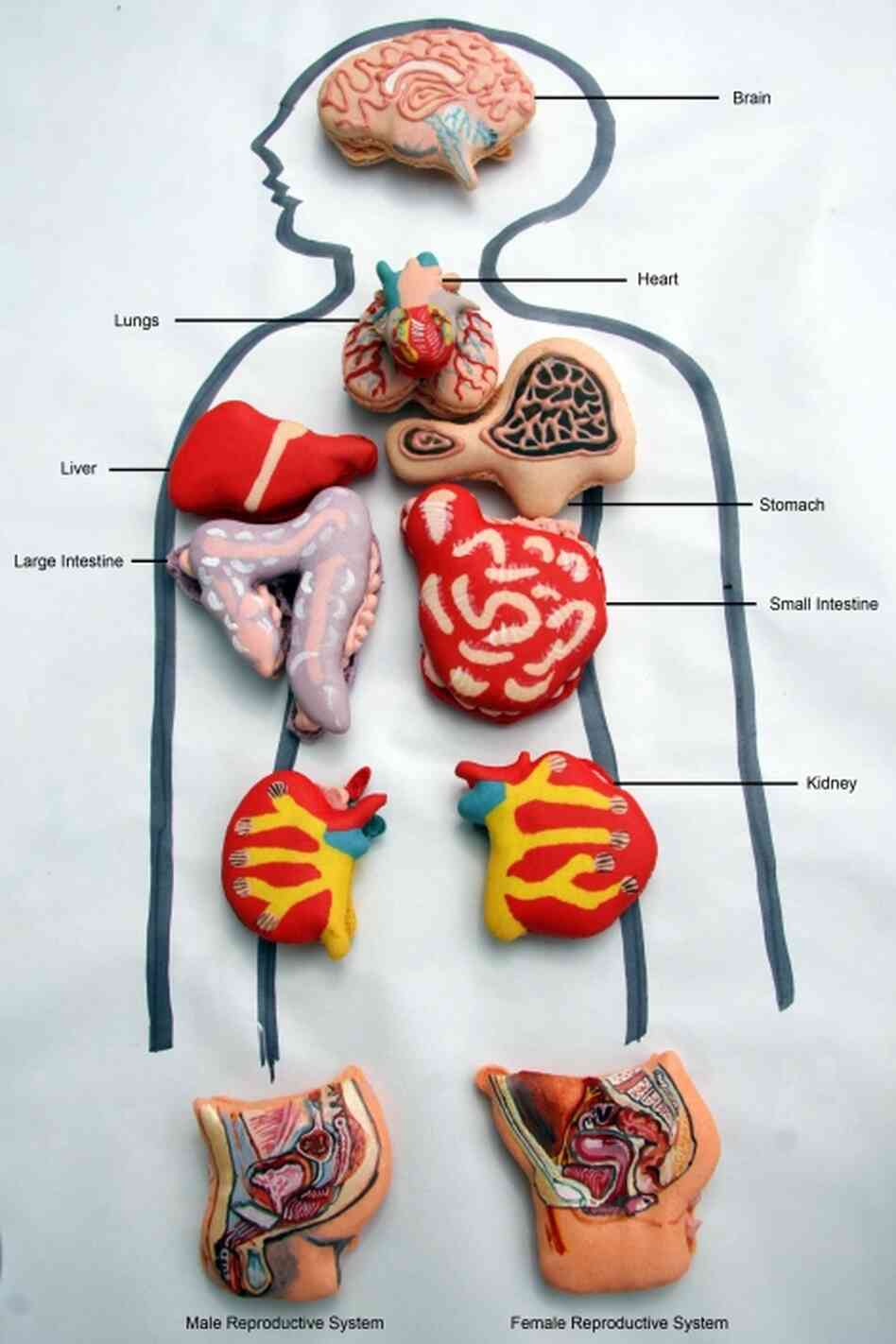 Operation!: Just like in the popular children's game, this set of macaroons by cakemaker Miss Insomnia Tulip look like realistic human organs. 