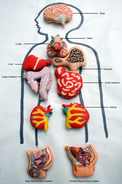 Operation!: Just like in the popular children's game, this set of macaroons by cakemaker Miss Insomnia Tulip look like realistic human organs. 