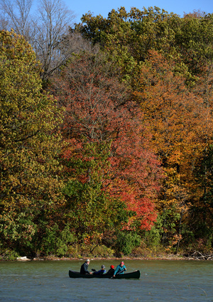 The canoe party paddles past "Sugar Island," where the Bark River flows through Nemahbin. The Potawatomi tapped these trees for sugar. I'd never known there was an island in Nemahbin Lake; it holds summer cabins. The canoe party paddles past "Sugar Island," where the Bark River flows through Nemahbin. The Potawatomi tapped these trees for sugar. I'd never known there was an island in Nemahbin Lake; it holds summer cabins.