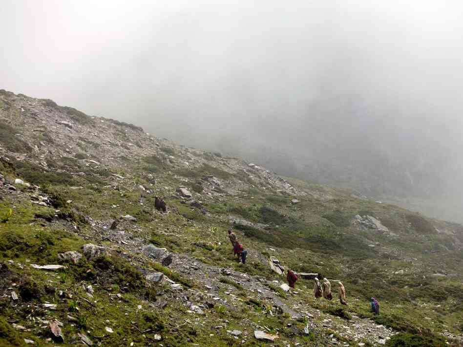 The festival takes place where the yaks roam, about 4,000 meters above sea level. Here, festival-goers return to their campsite after bleeding yaks.