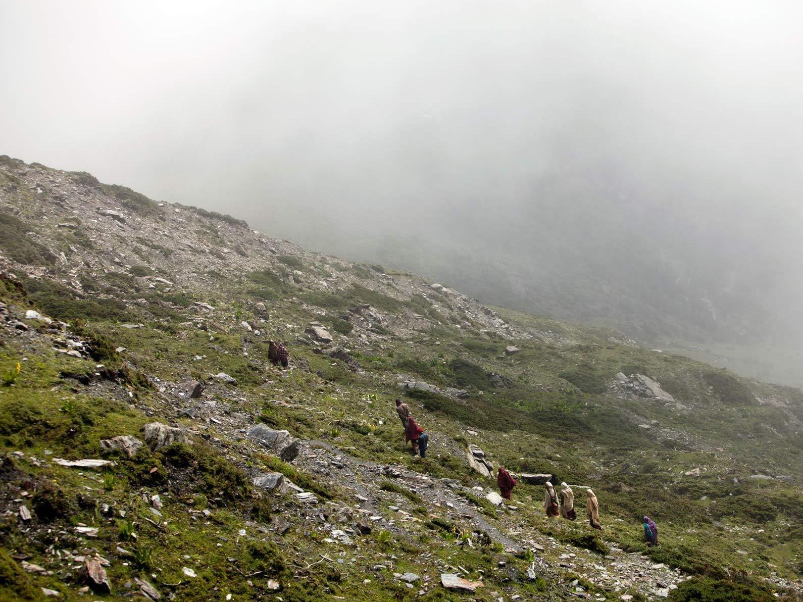 The festival takes place where the yaks roam, about 4,000 meters above sea level. Here, festival-goers return to their campsite after bleeding yaks. The festival takes place where the yaks roam, about 4,000 meters above sea level. Here, festival-goers return to their campsite after bleeding yaks.
