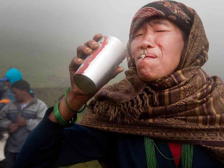 A woman drinks a glass of fresh yak blood. She is attending the festival with her family in hopes that drinking the blood will help heal her ongoing digestive problems. Some people go for the day; others stay the entire week. The average attendee drinks a glass of blood per day.