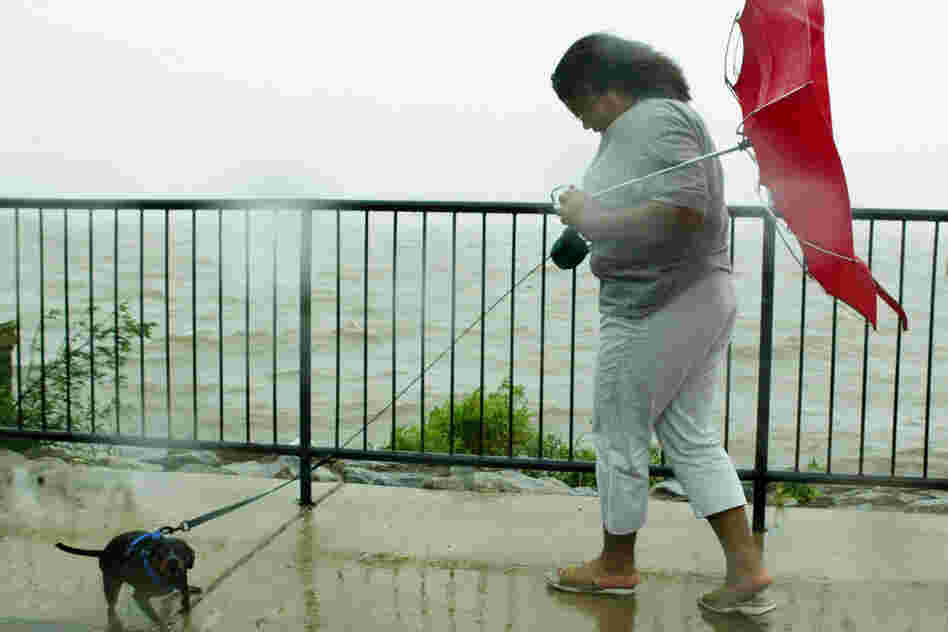 Tiffaney Battle (perfect last name) and her dog, Zach, versus Hurricane Isabel, Alexandria, Va., 2003.