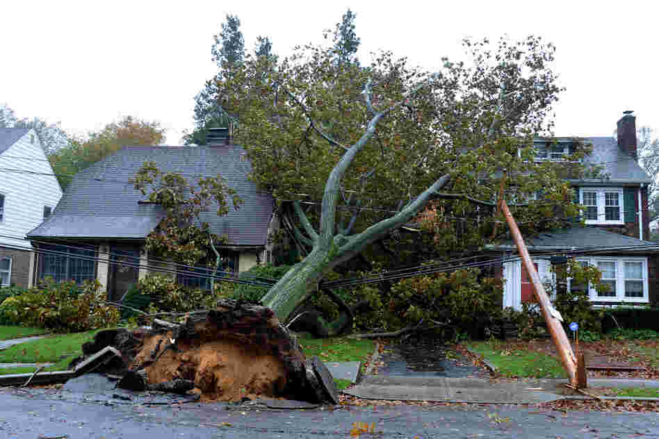A fallen tree and power line lie over homes in Garden City, N.Y. Hurricane Sandy still has 90 mph sustained winds with higher gusts.