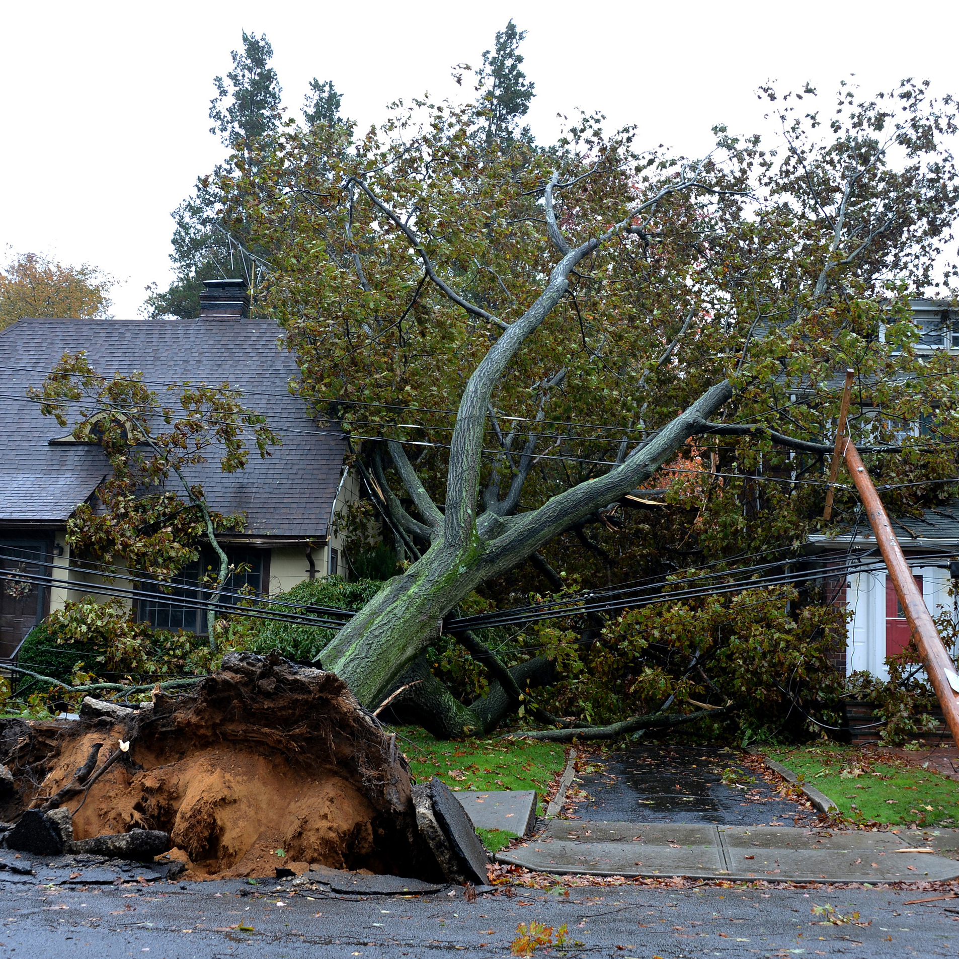 A fallen tree and power line lie over homes in Garden City, N.Y. Hurricane Sandy still has 90 mph sustained winds with higher gusts.