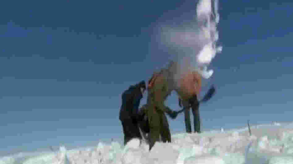 Shoveling snow