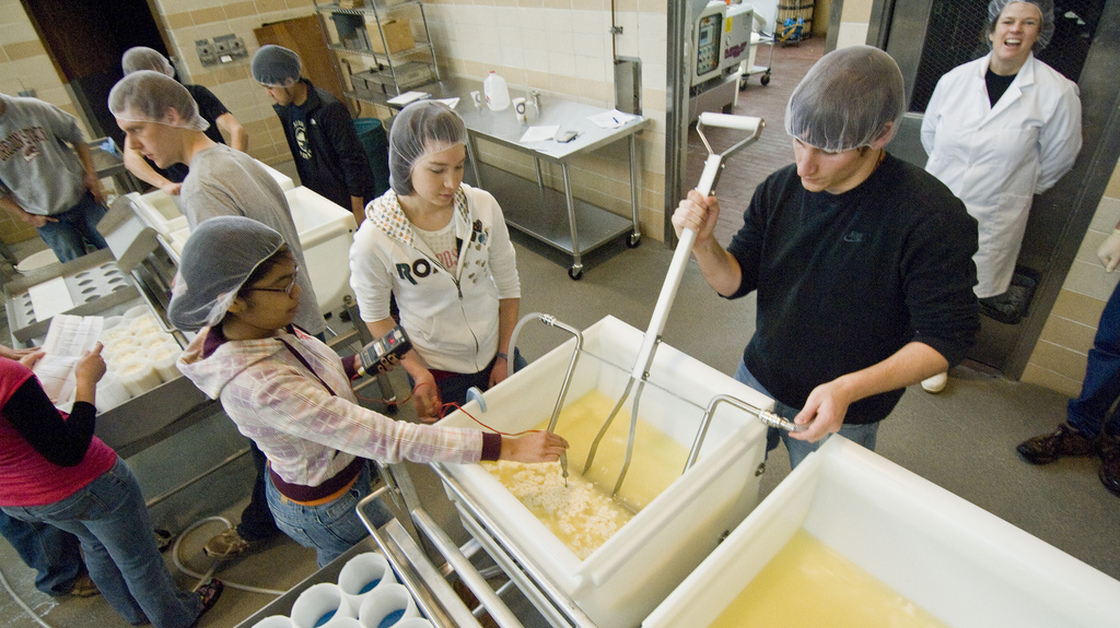 Oregon State University food science and technology students mix a batch of havarti cheese in a cheesemaking class.