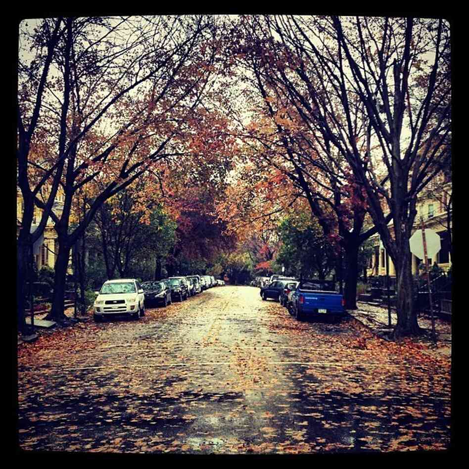 Philadelphia after Superstorm Sandy.