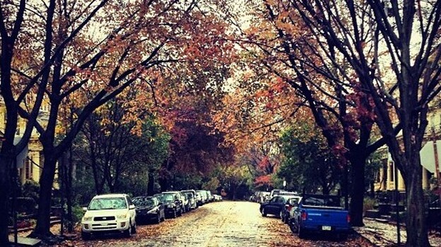 Philadelphia after Superstorm Sandy. (via Flickr)