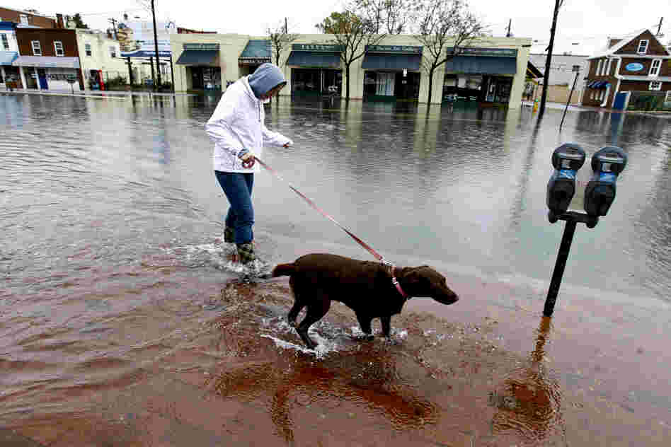 Lauren Sinnott walks her dog, Becca, in a flooded street in downtown Annapolis, Md.