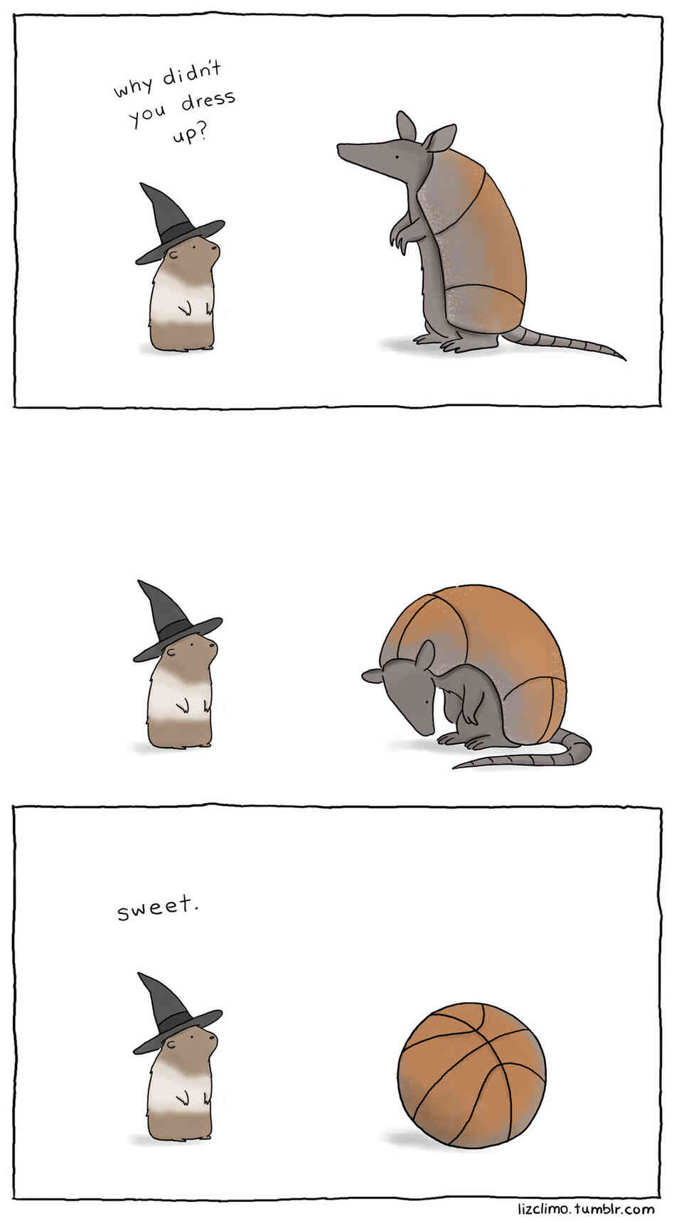 Armadillo