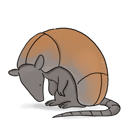 Armadillo