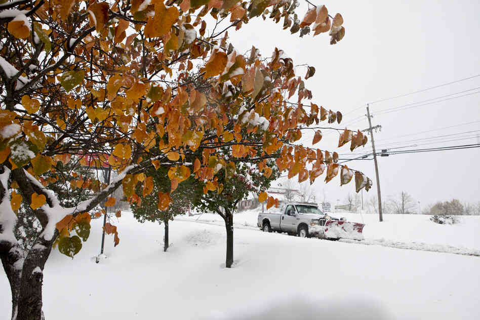 West Virginia is expecting six to 12 more inches of snow throughout Tuesday. Higher elevations are more likely to get snowfall upwards of two or three feet.