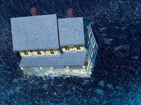 Weather The Storm With 7 Stories From NPR Books