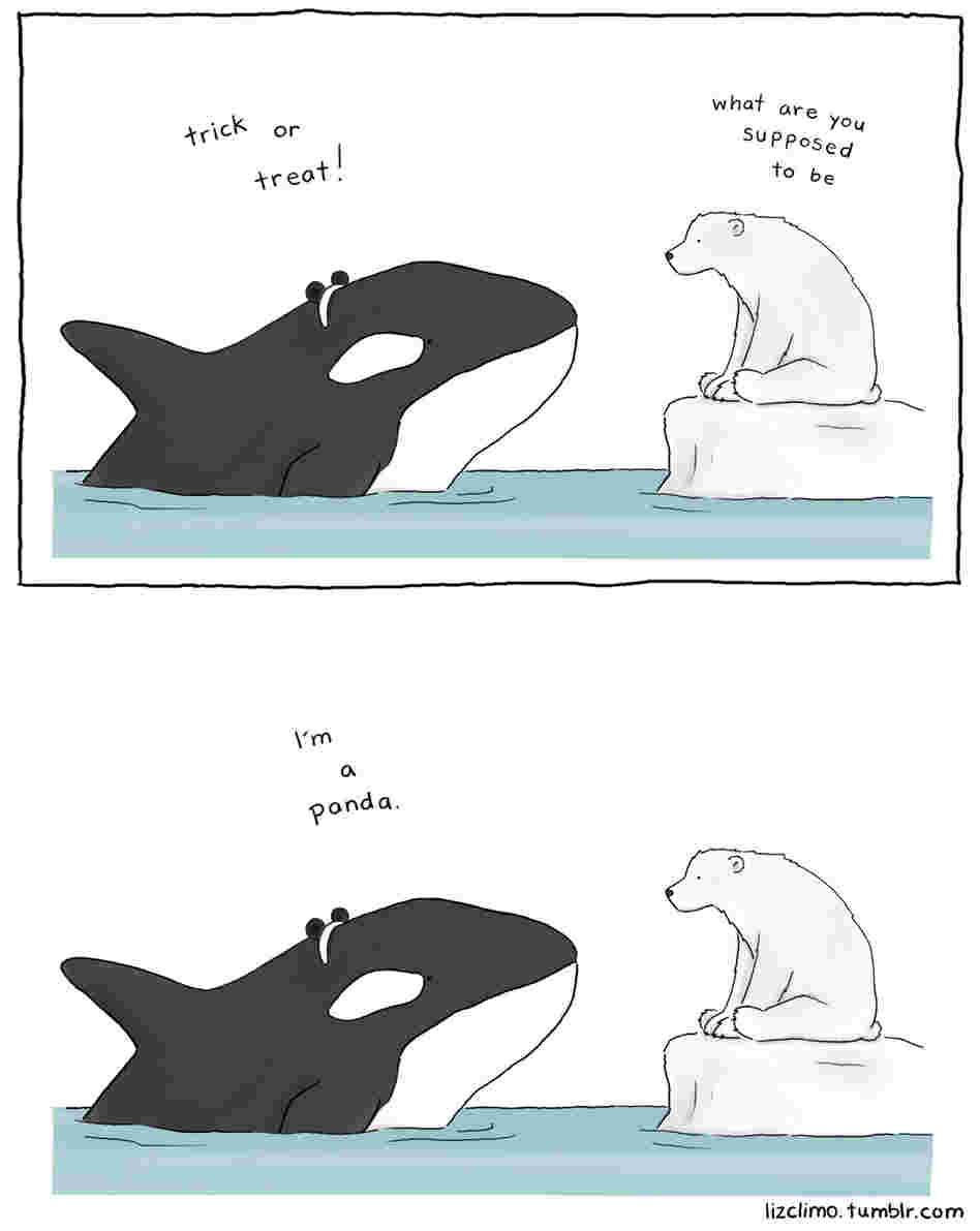 Orca
