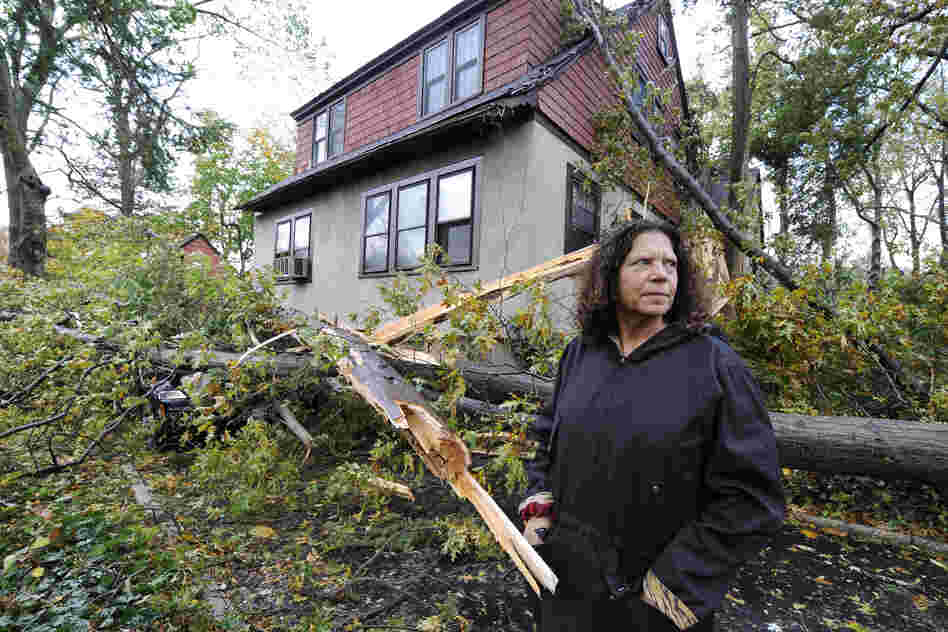 Arlene O'Dell stands in front of her home where several trees fell, one crushing her car, as a result of the powerful winds and rain of Superstorm Sandy on Tuesday in Sea Cliff, N.Y.