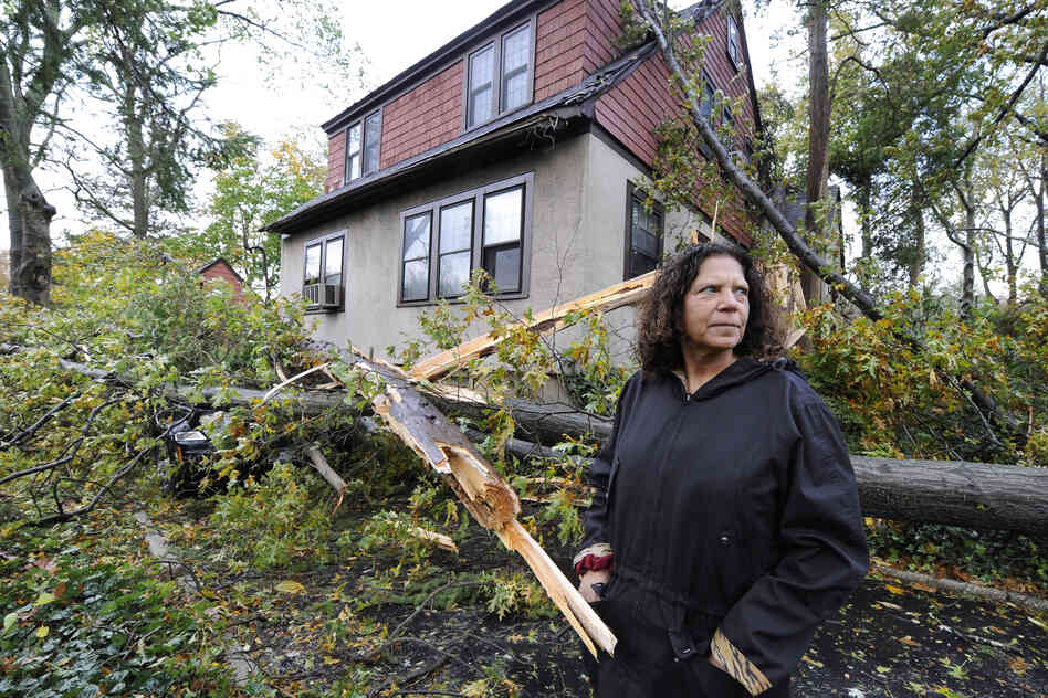Arlene O'Dell stands in front of her home where several trees fell, one crushing her car, as a result of the powerful winds and rain of Superstorm Sandy on Tuesday in Sea Cliff, N.Y.