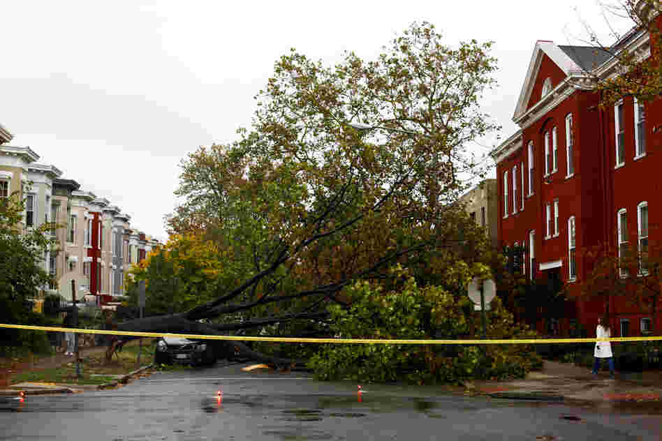 A fallen tree damaged a car and blocks a street on Capitol Hill in Washington, on Tuesday. Washington escaped significant damage from Sandy, but tens of thousands of residents experienced power outages.