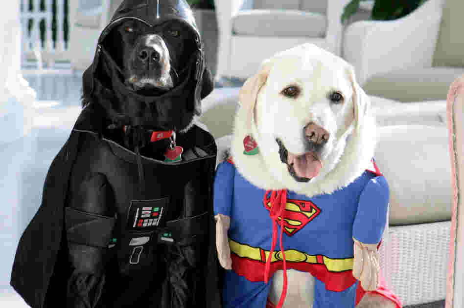 I mean, if Dick Cheney's dogs can do it, so can you. (Jackson, i.e., Darth Vader, and Dave, i.e., Superman, at the then-vice president's residence in 2007.)