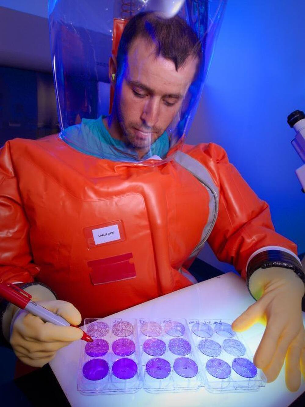 A microbiologist runs an experiment to count hemorrhagic fever viruses at the Centers of Disease Control and Prevention.