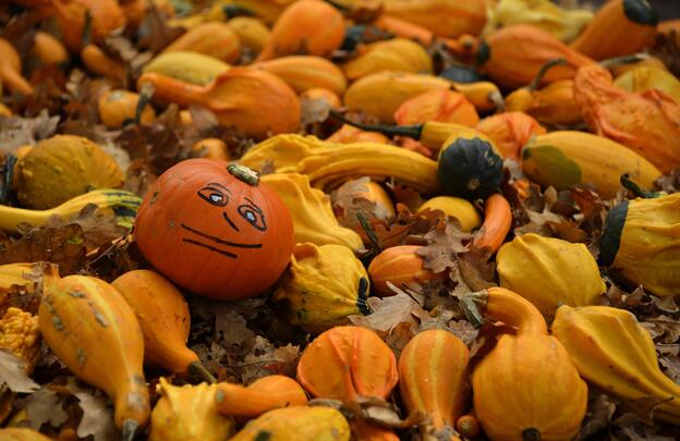Halloween will have to wait.