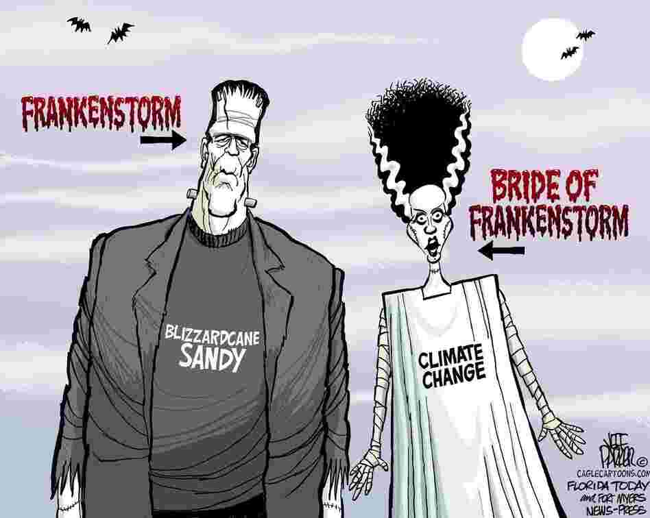 politicalcartoons.com