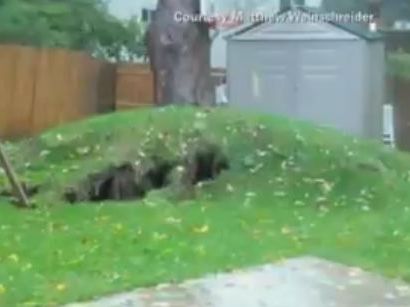 Sandy uprooting a giant tree.