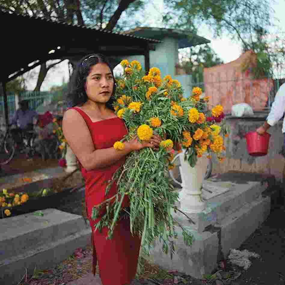 Flowers for the cemetery, Ayoquezco de Aldama, Oaxaca