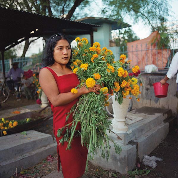 Flowers for the cemetery, Ayoquezco de Aldama, Oaxaca