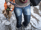 Blaine Badick walks through floodwaters with her dogs in Hoboken, N.J., on Wednesday. Blaine Badick walks through floodwaters with her dogs in Hoboken, N.J., on Wednesday.