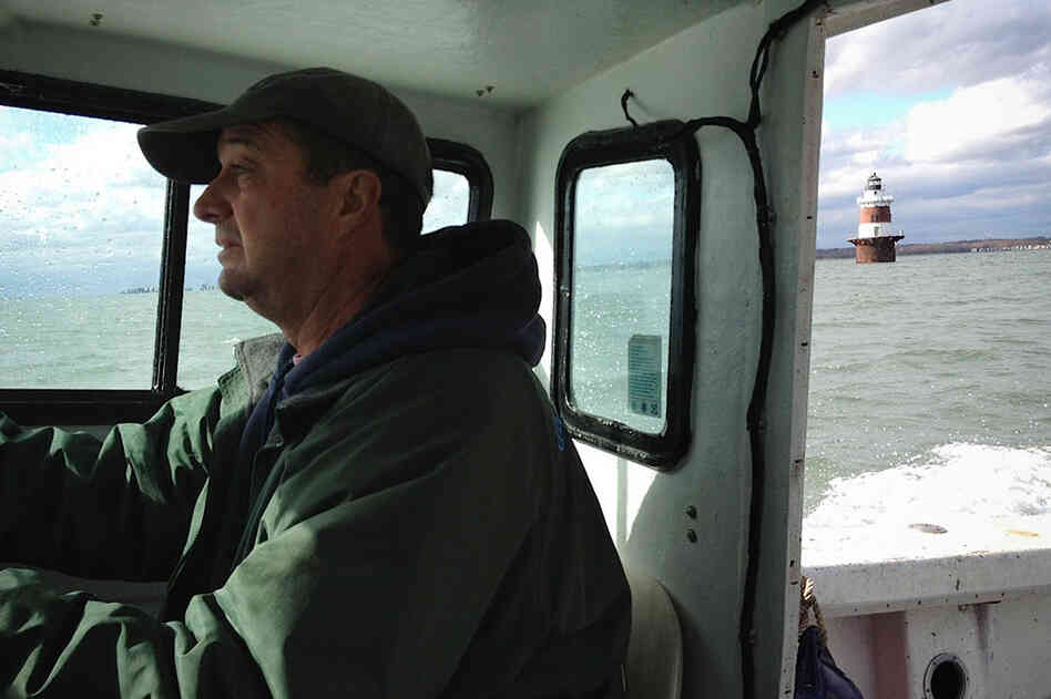 Norman Bloom takes his boat out to meet his son, Jimmy, whose boat is idling over the company's oyster beds, about a mile offshore from Norwalk. They worry that the waves and the turbulence may have suffocated the oysters under silt. They could have been banged around, which would break them. And they may have just cracked open and died, Jimmy fears.