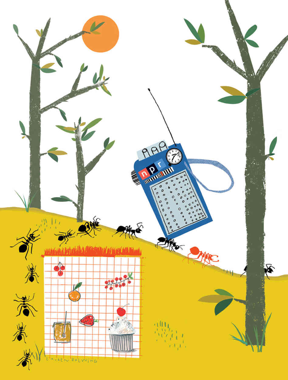 Lauren Rolwing's artwork for the 2013 NPR Wall Calendar.