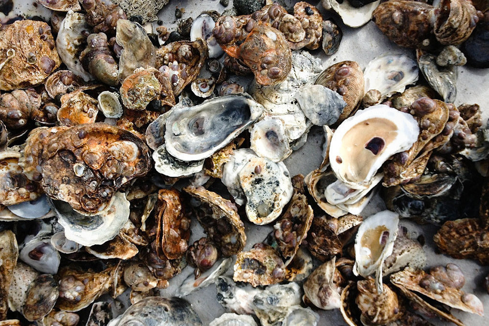 The loss won't put them out of businesses, but it will make life harder and leaner as they try to both keep up with demand and rebuild what was destroyed.