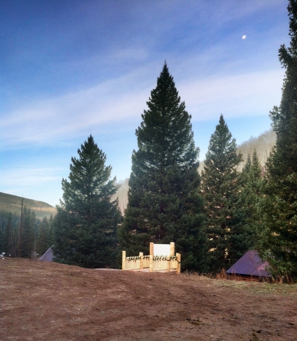 This year's Capitol Christmas tree comes from White River National Forest in Northwest Colorado. The spruce is more than 70 feet tall. This year's Capitol Christmas tree comes from White River National Forest in Northwest Colorado. The spruce is more than 70 feet tall.