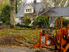 A tree service worker prepares to remove a giant oak tree limb that fell onto the roof of Charles Edamala's home in Elkins Park, Pa., during Superstorm Sandy. A tree service worker prepares to remove a giant oak tree limb that fell onto the roof of Charles Edamala's home in Elkins Park, Pa., during Superstorm Sandy.