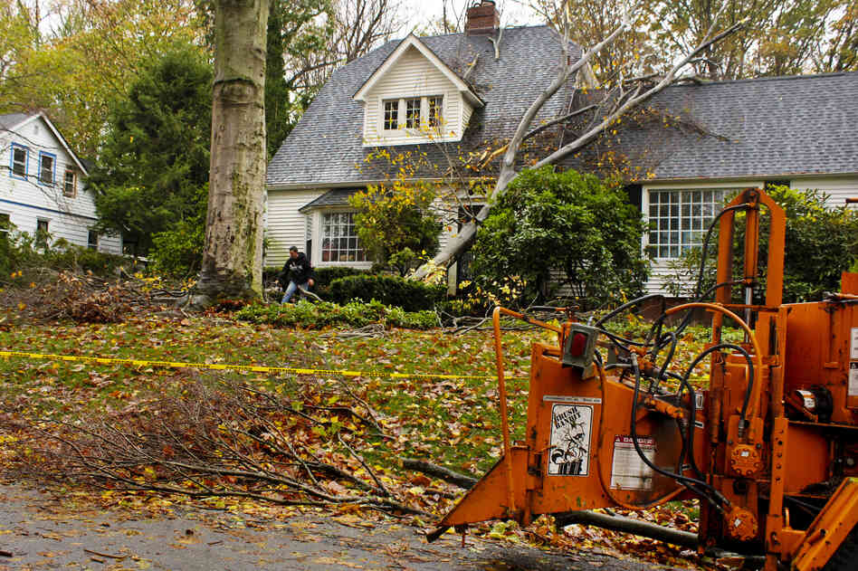 A tree service worker prepares to remove a giant oak tree limb that fell onto the roof of Charles Edamala's home in Elkins Park, Pa., during Superstorm Sandy.