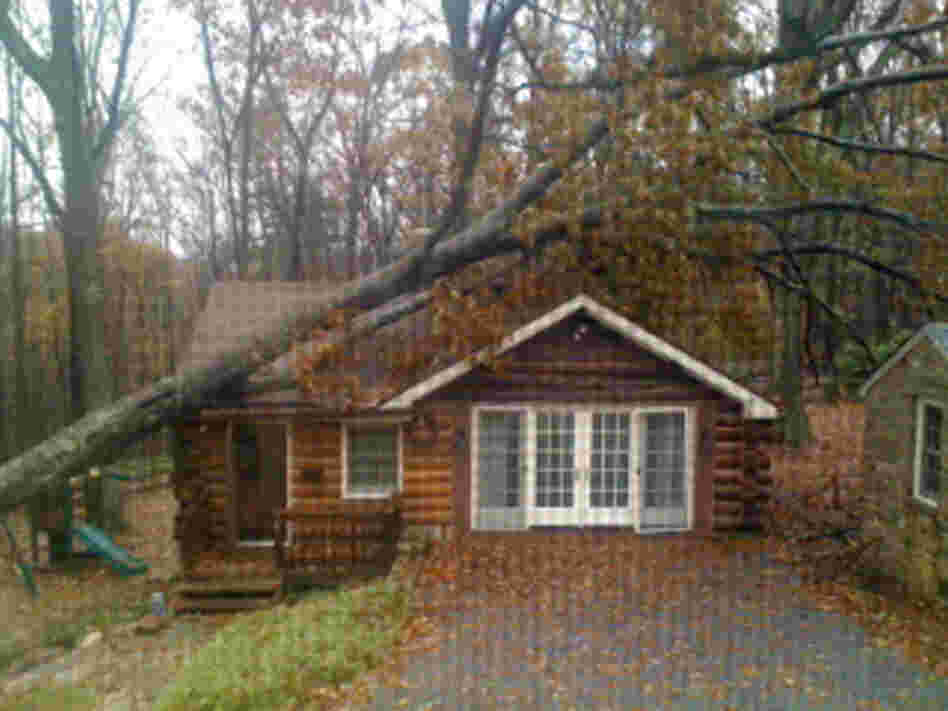 A window-screen view toward conductor Marin Alsop's studio, badly damaged during the hurricane.