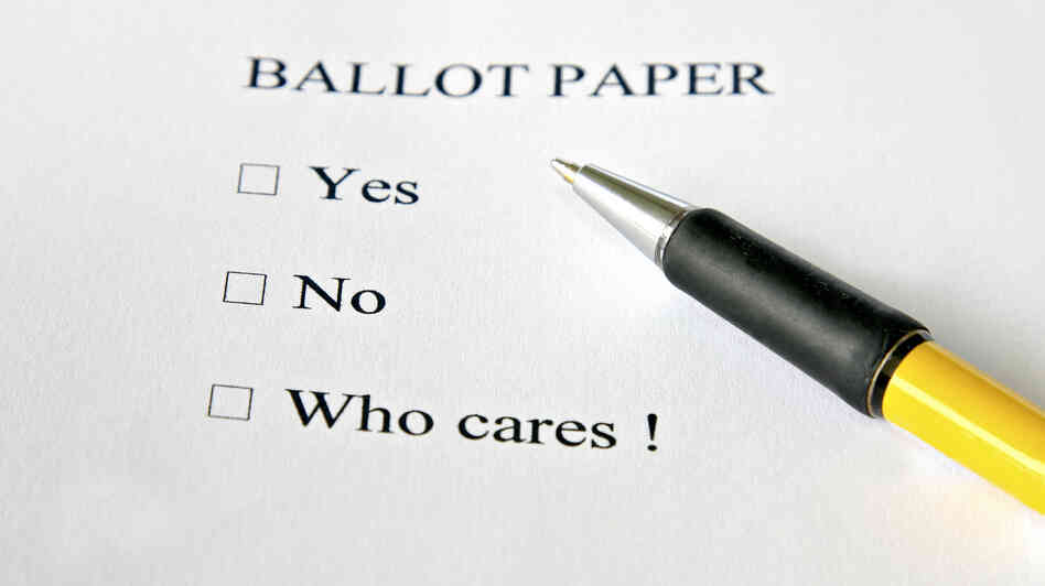 Non voters