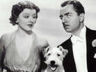 Myrna Loy and William Powell (and a wire-haired terrier) starred as Nick and Nora Charles (and Asta) in the 1934 film adaptation of Dashiell Hammett's The Thin Man. Myrna Loy and William Powell (and a wire-haired terrier) starred as Nick and Nora Charles (and Asta) in the 1934 film adaptation of Dashiell Hammett's The Thin Man.