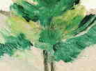cover image from Dear Life