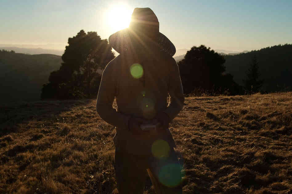 "Grassland" is a series that peeks behind the curtain of pot production in California.