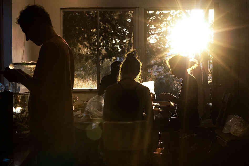 "Grassland" is a series that peeks behind the curtain of pot production in California.