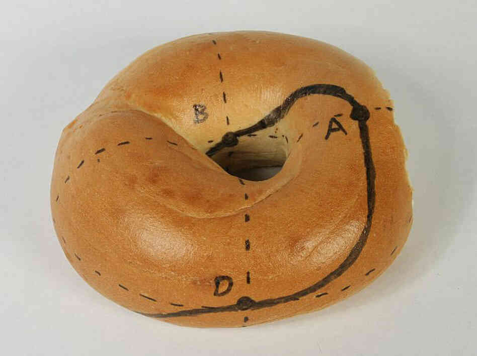 A guide to making a Mobius bagel. Cut along the black line.