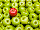 Red apple among green ones Red apple among green ones