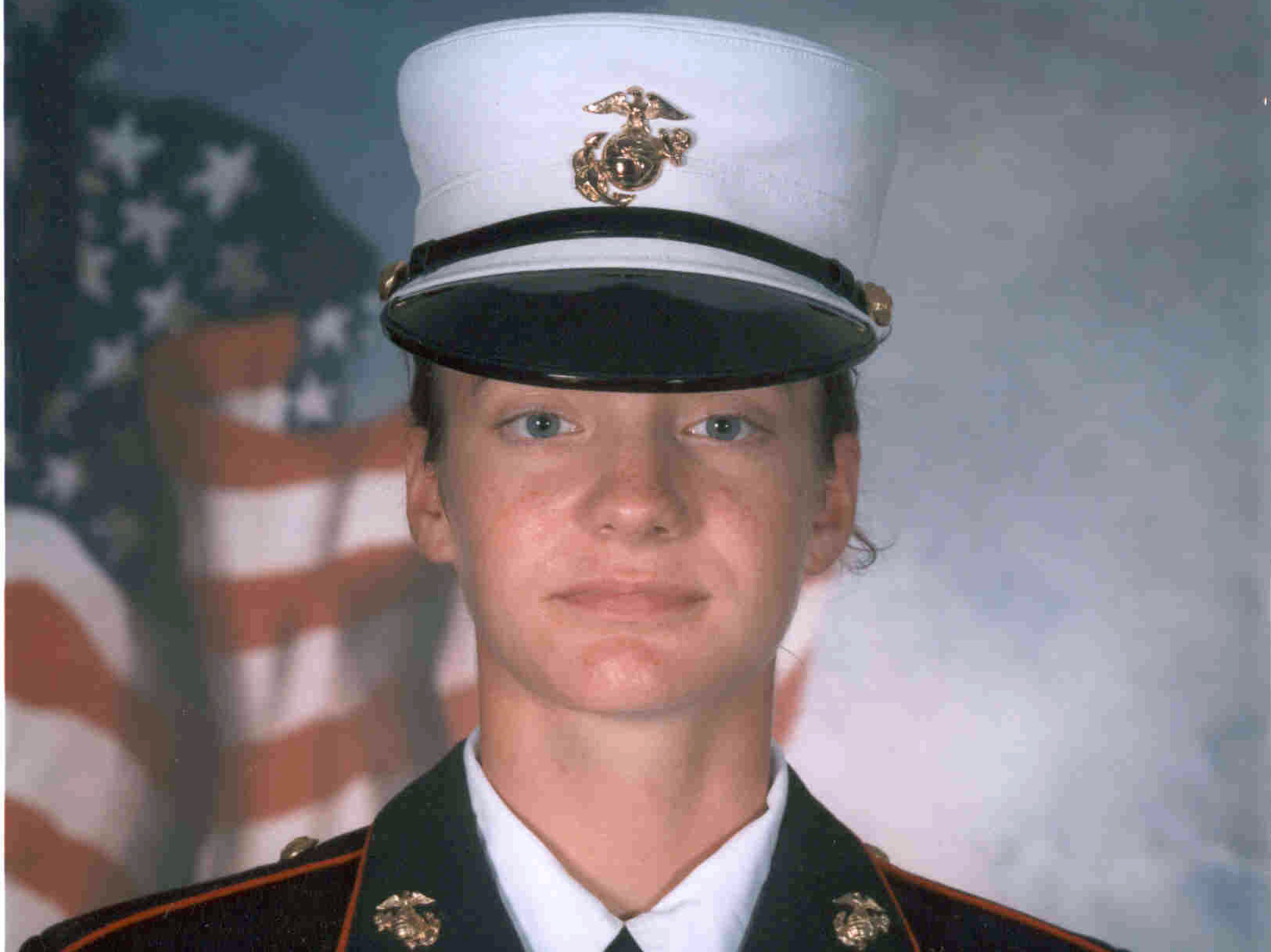 On Veterans Day, Stories Of Heroes And Homecoming
