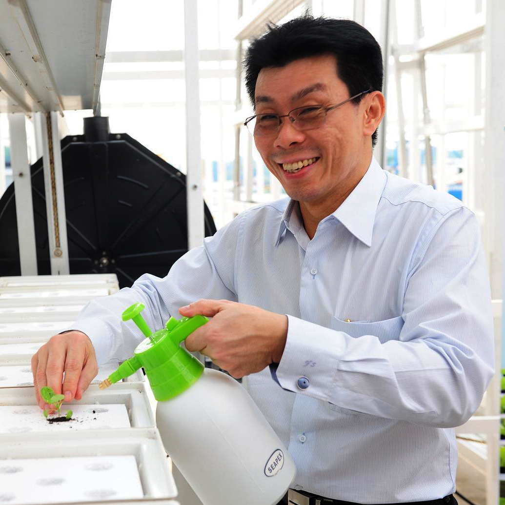 Senior Minister of State Lee Yi Shyan transplants some leafy green seedlings at the grand opening of Singapore's first commercial vertical farm.