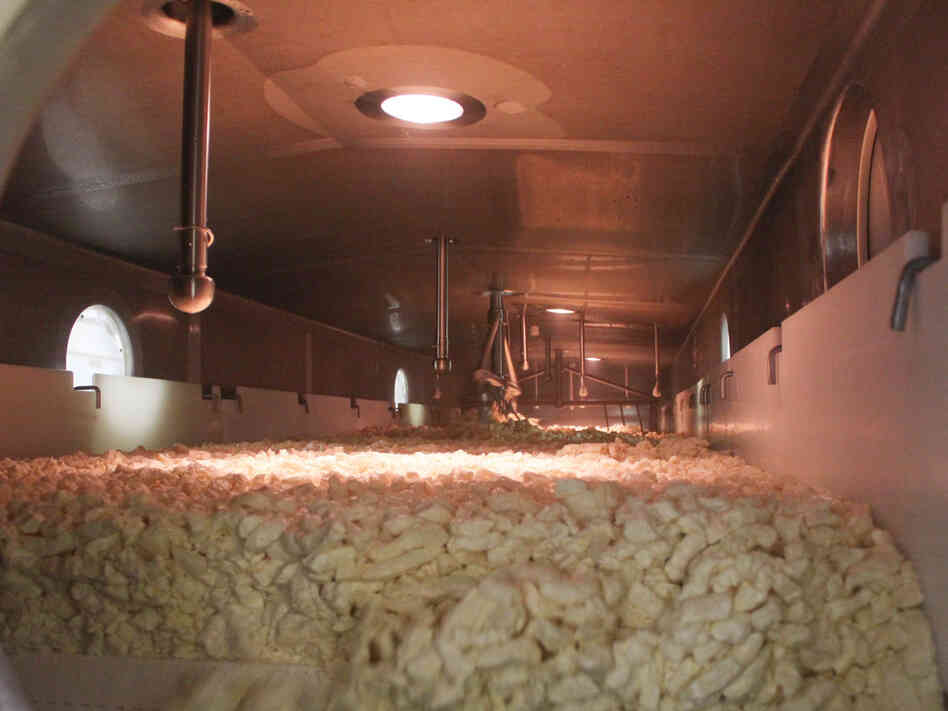 In one of the first steps of cheese-making, curds move through this tunnel on a slow-moving belt, separating them from the liquid whey. In one of the first steps of cheese-making, curds move through this tunnel on a slow-moving belt, separating them from the liquid whey.