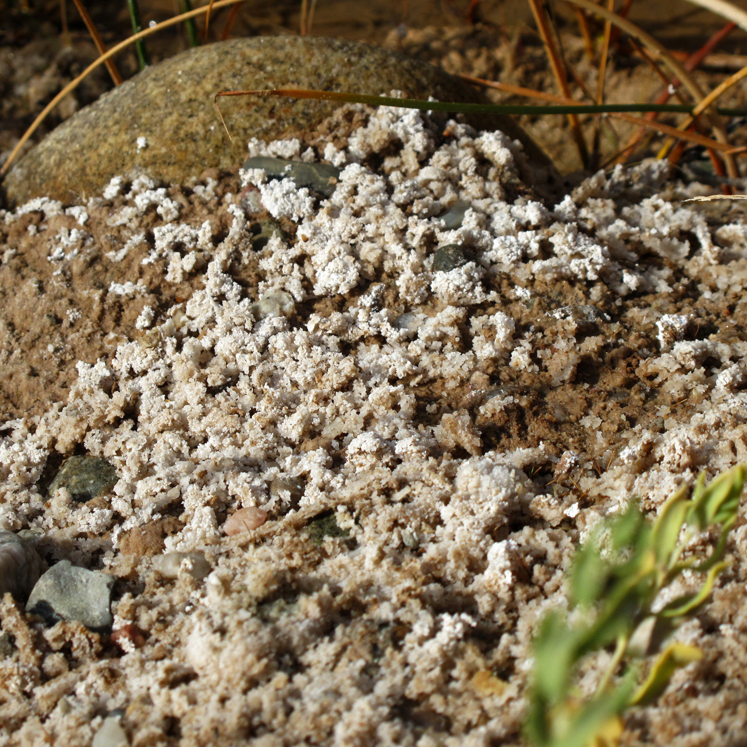 White crystal-like deposits line a streambed where this oil field water is flowing. Researchers for the tribes have also found black oozes, purple growths, dead ducklings and lifeless stretches of streams.