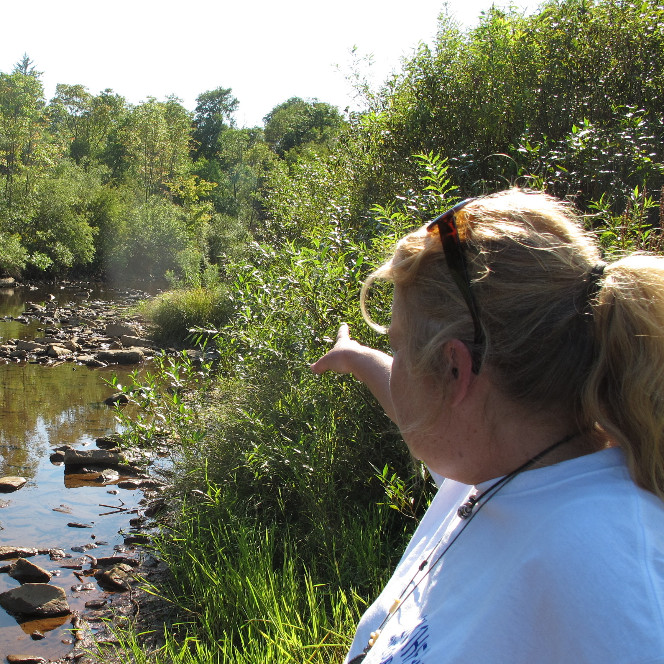 Laurie Barr points to an abandoned well located in the middle of a McKean County, Pa., stream.